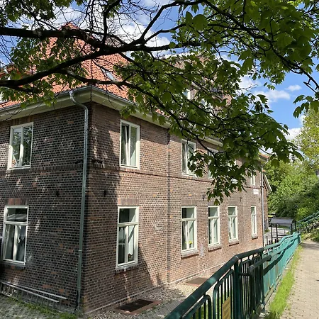 Ahoi Hostel-3